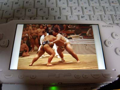 �A�}�`���A���o�ϐ�L
